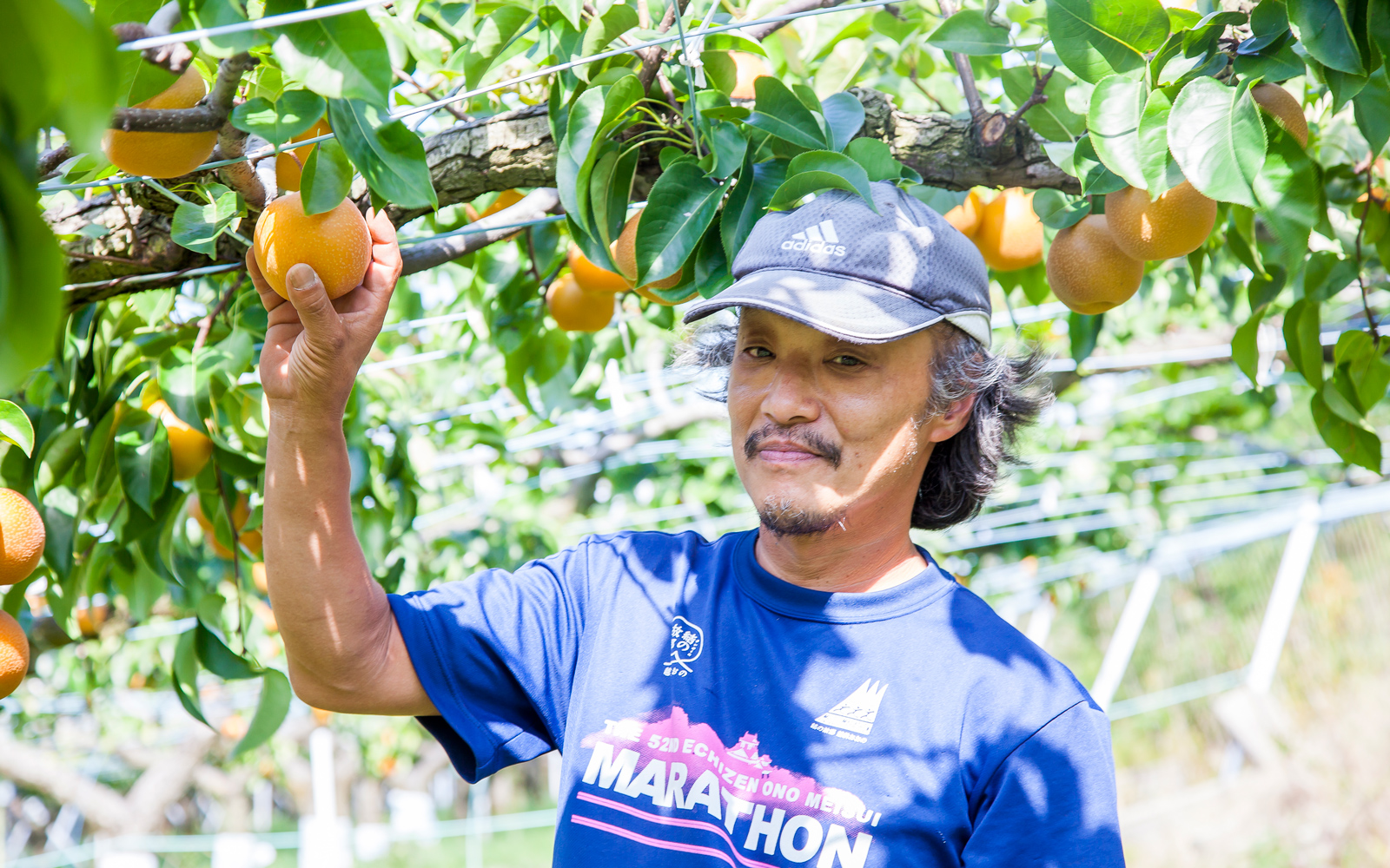 梨農家の下村さん2