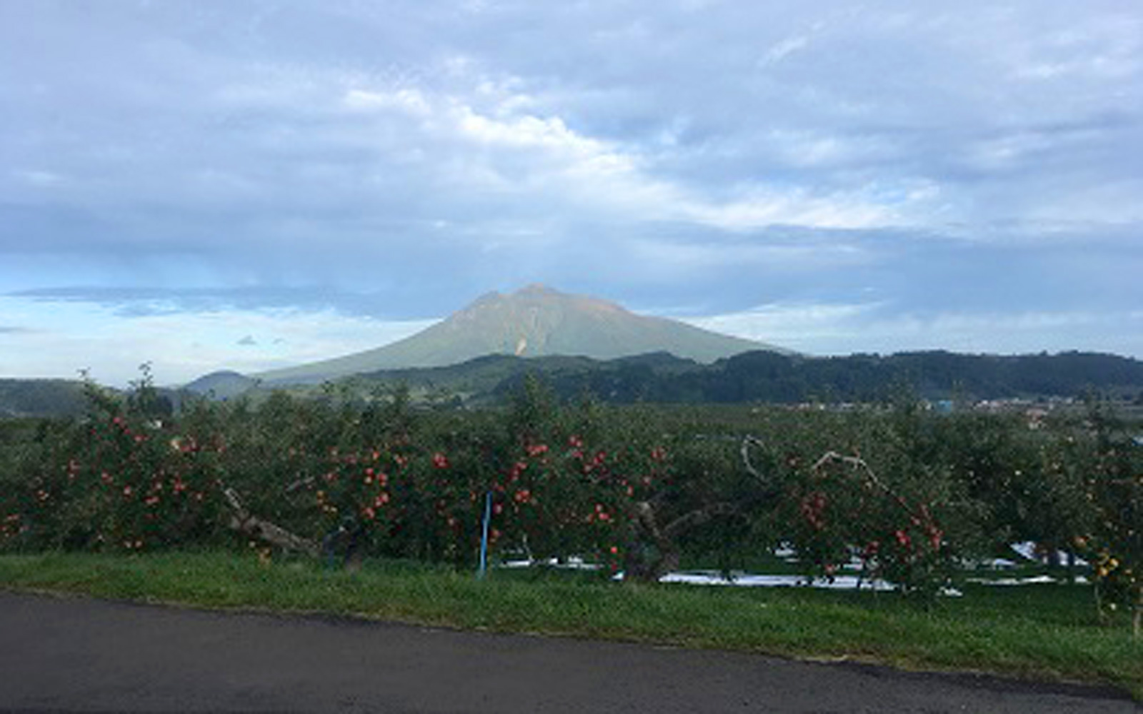 園地から見る風景